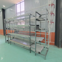 Cage de Poules Pondeuses en Batterie de Type H à Évacuation Manuelle du Fumier pour 5000 Poulets dans les Grandes Fermes Avicoles