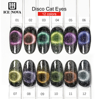 BD Disco Cat Eye Gel Polonais 12 Couleurs Série Poudre Délicate Paillettes Hema Gratuit 10ml Échantillon En Gros Oem Effet Évident