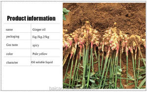 Aceite Esencial de Raíz de Jengibre, Extracto de Planta 100% Puro Destilado al Vapor, Alivia el Malestar Muscular y Articular, Favorece la Circulación Sanguínea y la Salud de la Piel - Product Image 5
