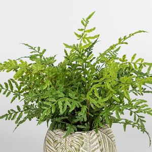 Best-Selling Small Artificial Fern - Cheap Potted Desktop Decoration - Product Image 2