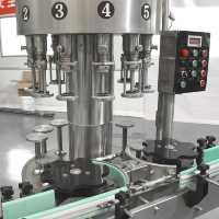 Machine de remplissage rotative à niveau de liquide stable, anti-mousse, sous vide, pour boissons fermentées aux fruits, vinaigre de riz, assaisonnements et sirops