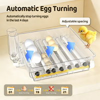 Nouvel incubateur WONEGG TW144 entièrement automatique et durable, contrôleur intelligent certifié CE, plateau d'éclosion avicole haute productivité