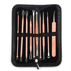 10 pièces Kit d'outils de suppression de points noirs outils de soins de la peau du visage comédon du visage acné aiguille Clip bouton <span class=keywords><strong>pince</strong></span> à épiler ensemble d'extracteur de défauts - Product Image 5