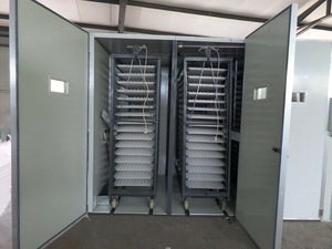 Trứng 50000 công suất lớn lồng ấp trứng nở tự động máy để bán - Product Image 5