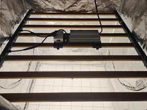 Samsung lm301h 281b quang phổ đầy đủ nhà máy chiếu sáng 240W 320W 500W 650W 720W Đèn Led thương mại phát triển cho tăng trưởng trong nhà - Product Image 6