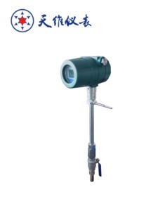 Misuratore di Flusso di Massa Termico per Gas con Flangia, Rilevamento Perdite di Gas, Misurazione di Portata, Temperatura e Pressione - Product Image 3