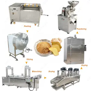 Linha de produção de pó de gengibre 100-350 kg/h, máquina de processamento