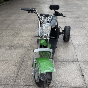 Unisex Tricycle EEC Approved Dirt Scooter Motorcycle 2000w Powerful 3000W Scooters Y20 High-Powered Motor 2000W Motor Delivers E - Product Image 3