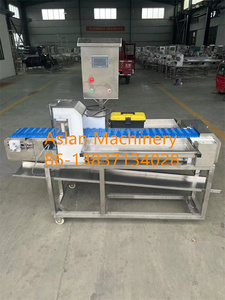 <span class=keywords><strong>Macchina</strong></span> Automatica <span class=keywords><strong>per</strong></span> <span class=keywords><strong>Spiedini</strong></span> di Carne / <span class=keywords><strong>Macchina</strong></span> <span class=keywords><strong>per</strong></span> <span class=keywords><strong>Spiedini</strong></span> di Carne Satay - Product Image 4