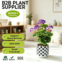 Plantes esthétiques de bureau de qualité commerciale, violettes, haute fidélité, 40 cm, mini-synthétiques pour la verdure de bureau en vrac