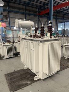 Máy biến áp 3 pha 50kva 100kva 200kva 160kva 500kva 750kva 1000kva 11kv 15KV 20kv 33kv máy biến áp phân phối dầu ngoài trời - Product Image 5