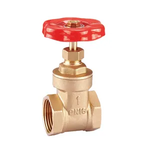 HTL BRASS GATE VALVE