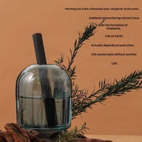 Diffuseur d'arômes créatif en verre épaissi, ornement de parfum d'intérieur haut de gamme, bouteille vide transparente pour aromathérapie