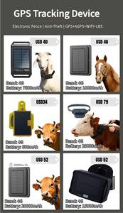 جهاز تتبع عبر الأقمار الصناعية <span class=keywords><strong>GPS</strong></span> Beidou بقدرة 20000mAh مخصص للأبقار والأغنام في المراعي الجبلية، ملحق وموصل لتحديد مواقع الحيوانات ومنع فقدانها - Product Image 4