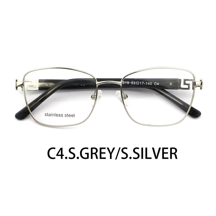 C4.S.GREY/S.SILVER