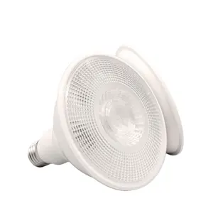 WOOJONG OEM cost-effective 110-264V Aluminum + Plastic material PAR38 12W 15W PAR lamp condensing distinguished design.