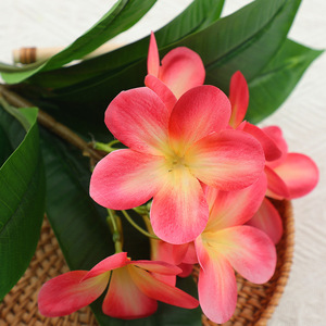 Fleur artificielle de frangipanier Xinchengzhi, 9 feuilles, 9 fleurs, en plastique et soie, pour décoration de mariage et de maison - Product Image 3