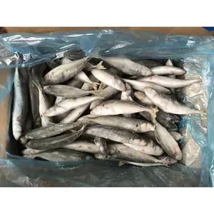 China export all size frozen hgt round scad fish factory price frozen round scad hgt manufacturer