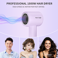 Sèche-cheveux et lisseur 2-en-1 ionique haute vitesse, qualité salon, avec buse concentratrice, prise USA, pour usage domestique, hôtelier et professionnel