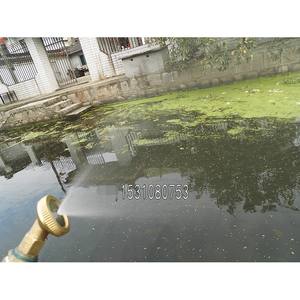 High-Pressure 90 45 Agricultural Motorized Sprayer with 35CM Copper <b>Sterilization</b> Nozzle Pesticide Farming <b>Equipment</b> - Product Image 5