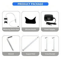 Lampe dentaire portable à pince à lumière froide, appareil de blanchiment des dents, accélérateur de blanchiment, outil dentaire à lumière LED