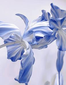 T-375 fleur géante de haute qualité décoration de mariage étanche <span class=keywords><strong>bleu</strong></span>-violet EVA fleur géante <span class=keywords><strong>Iris</strong></span> - Product Image 6