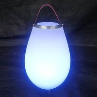 Enceinte Portable Sans Fil avec Éclairage LED RGB 16 Couleurs Changeantes, Idéale pour Hôtels et Extérieur, Design Rotomoulé, Son de Réverbération pour Fêtes