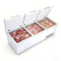 Congélateur coffre horizontal commercial à ouverture par le haut pour la présentation de poissons et de viandes, utilisé pour la congélation