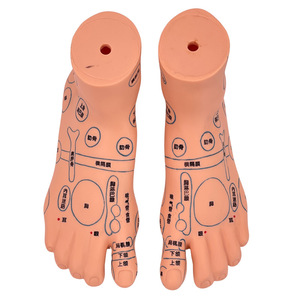 Modèle de réflexologie plantaire ultra-clair de 19 cm, modèle de pied pour l'enseignement de l'acupuncture et des points de massage. - Product Image 5