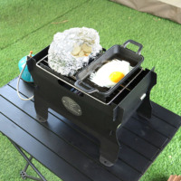 Barbecue au gaz portable pour le camping en plein air, montage facile, acier inoxydable, revêtement résistant à la chaleur, emballage plat, propane