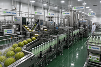 Hoge Efficiëntie Groene Kokosnoot Ontschil- en Sapextractie Sterilisatie Vullen Verpakken Productielijn