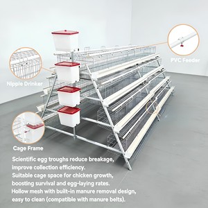Jaulas para Pollos al por Mayor de Fábrica, Equipo Avícola Automático, Jaulas para Gallinas Ponedoras - Product Image 1