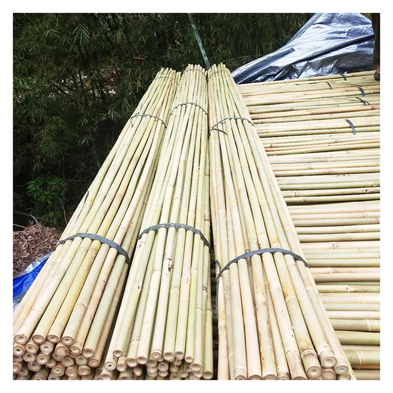 Tonkin Bambus stock für Pflanzen wachsen Unterstützung benutzer definierte Größe Bambus stock Stange