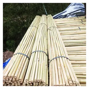 Tonkin Bamboo Poles Tonkin Bamboo Cane For Plants Grow Support Custom Size Bamboo Stick Pole