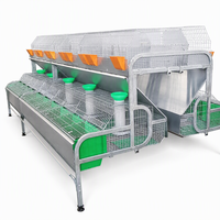 Cage à lapins à 2 niveaux EJIN pour usage agricole, type H galvanisé, avec nichoir intégré pour configuration de 8 à 16 cellules