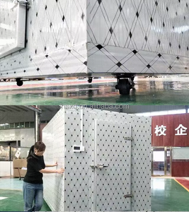 Meilleur prix alimentaire amovible chambres fraîches et congélateur Blast conteneur marcher dans la réfrigération machine froide - Product Image 3