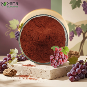 Fabricant de poudre d'extrait de raisin en vrac, fournisseur de poudre d'extraction de raisin de qualité alimentaire haute pureté - Product Image 1
