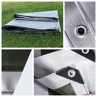 Bâche en PEHD Vert Argenté Imperméable pour Jardin, Balcon, Terrasse – Tissu de Protection pour Moto et Plantes Contre la Pluie