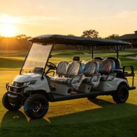Voiturette de golf électrique personnalisable multicolores avec moteur puissant de 3,5 kW, longue autonomie de la batterie, écologique, professionnelle