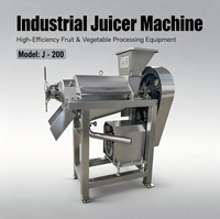 Fruchtextraktionsmaschine Spiralförmiger Entsafter Motor 220V Hohe Produktivität Karotten-Ingwer-Zitronen-Fruchtverarbeitungsanlage