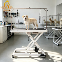 Table de toilettage pour chien mobile électrique EUR PET Shernbao FT-808