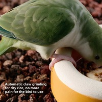Mangeoire en céramique pour oiseaux, bac à nourriture pour perroquets, boîte à nourriture pour oiseaux, bol en céramique pour pivoines et Xuanfeng