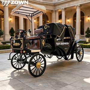 Carruaje Eléctrico Premium de Lujo Estilo Princesa, Carroza Vintage para Recorridos en Hoteles, Villas y Maniones, Recepciones y Exhibiciones - Product Image 1