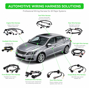 15841609 25962806 voiture Auto mobile lumière câblage de harnais pour Chevrolet 2007-2014 - Product Image 6