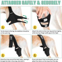 Pet Dog Genouillère Jambe Support Wrap pour Petits Grands Chiens Déchiré ACL Joint Arrière Jambes Manchon De Soutien Pet Genou Soutien Bretelles