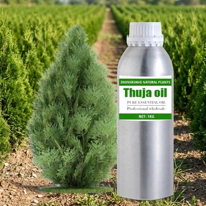 Aceite Esencial de <span class=keywords><strong>Thuja</strong></span> 100% Puro y Natural, <span class=keywords><strong>Thuja</strong></span> <span class=keywords><strong>Orientalis</strong></span> L., Aceite Esencial para Difusor, Aromaterapia, a Granel - Product Image 2