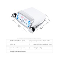 Appareil d'Importation d'Essence Ultrasonique Double Tête OEM, Nettoyant Facial, Nettoyeur de Pores, Équipement de Beauté, Vente en Gros Usine