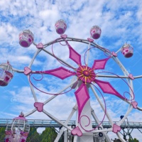 Grande Roue Métallique Thème Cœur Rose de 20m, Idéale pour Centres Commerciaux Intérieurs/Extérieurs et Manèges de Fête Foraine - Vente Flash