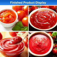 Orme Tomatensaus Maken Machine Lijn Kleine Tomatenpuree Ketchup Productielijn Voor Verkoop