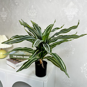 Bonsái Artificial Dream Castle de Madera Brasileña, 50 cm, Planta Verde en Maceta, Decoración para Interiores del Hogar - Product Image 3